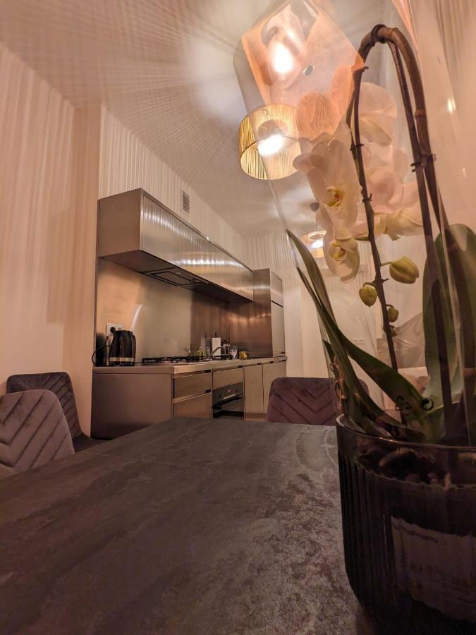 Spacious Two-bedroom In The Center Apartment Krakau