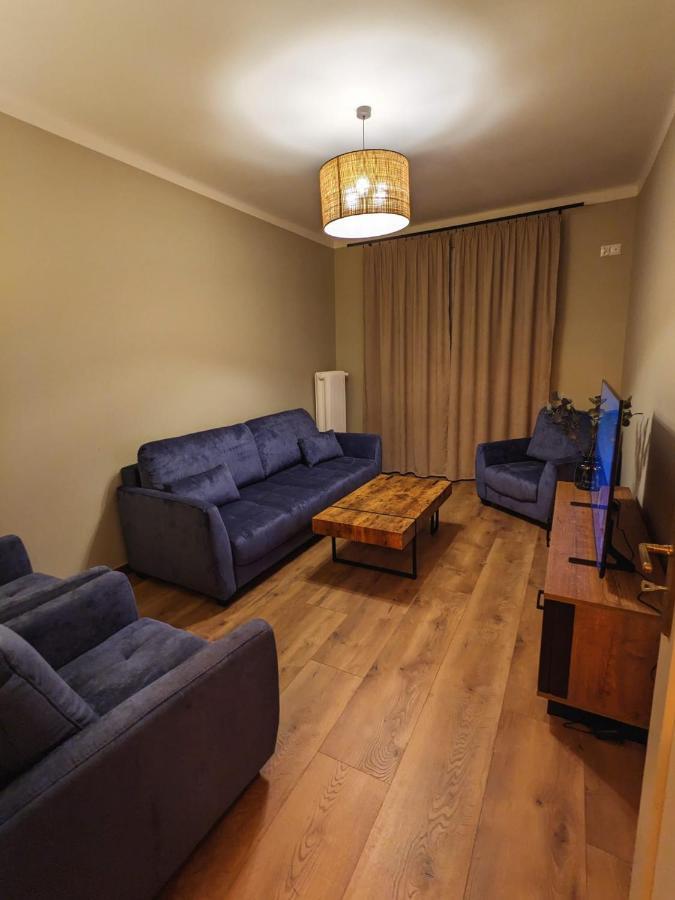 Spacious Two-bedroom In The Center * Krakau